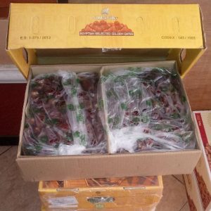 kurma mesir golden valley