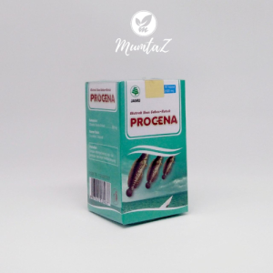 Procena